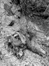 सिमकोट ४ मा बेवारिसे अवस्थामा महिलाको लास भेटियो