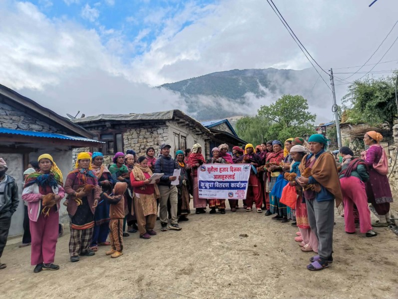 सुनौलो हजार दिन कार्यक्रम अन्तर्गत आमालाई कुखुरा वितरण